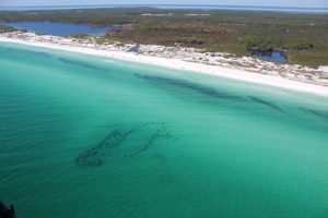 Snorkel reef in destin florida shaped like a seahorse